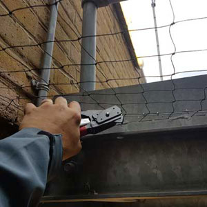 pest id technician fitting bird control netting