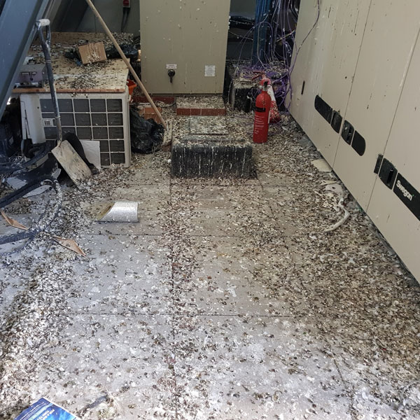 a floor covered in pigeon guano