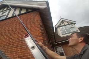 pest id technician operating a wasp nest lance