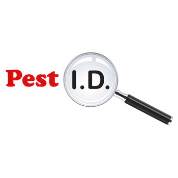Logo Ipswich Suffolk Pest Control