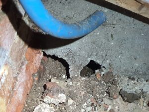 Building concrete with visible damage from rats