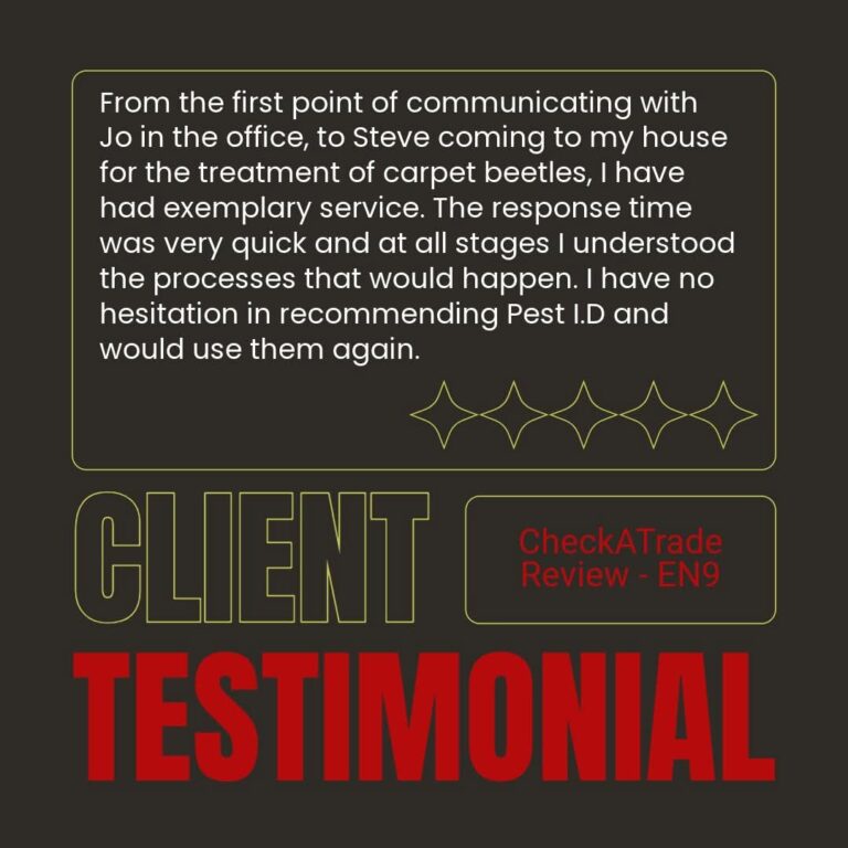 Carpet Beetle Removal Testimonial for Pest ID