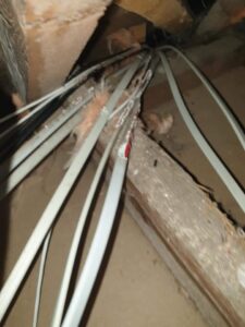 property cable and wire damage caused by squirrels