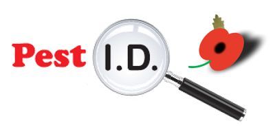 Pest ID Logo with remembrance poppy