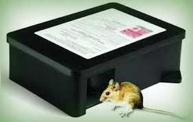 a bait box for mice