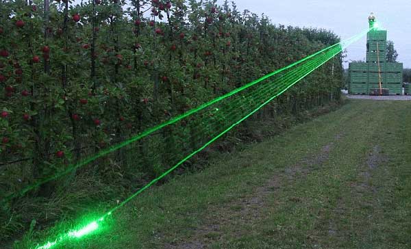 a laser bird scarer in operation