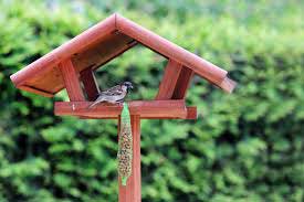 a bird feeding table