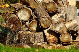 a pile of logs