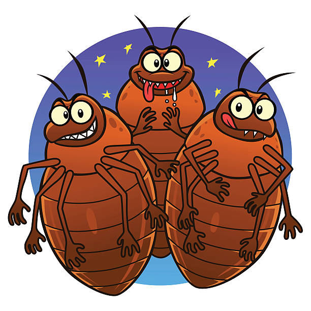 Illustration of three cartoon bedbugs with a night sky background