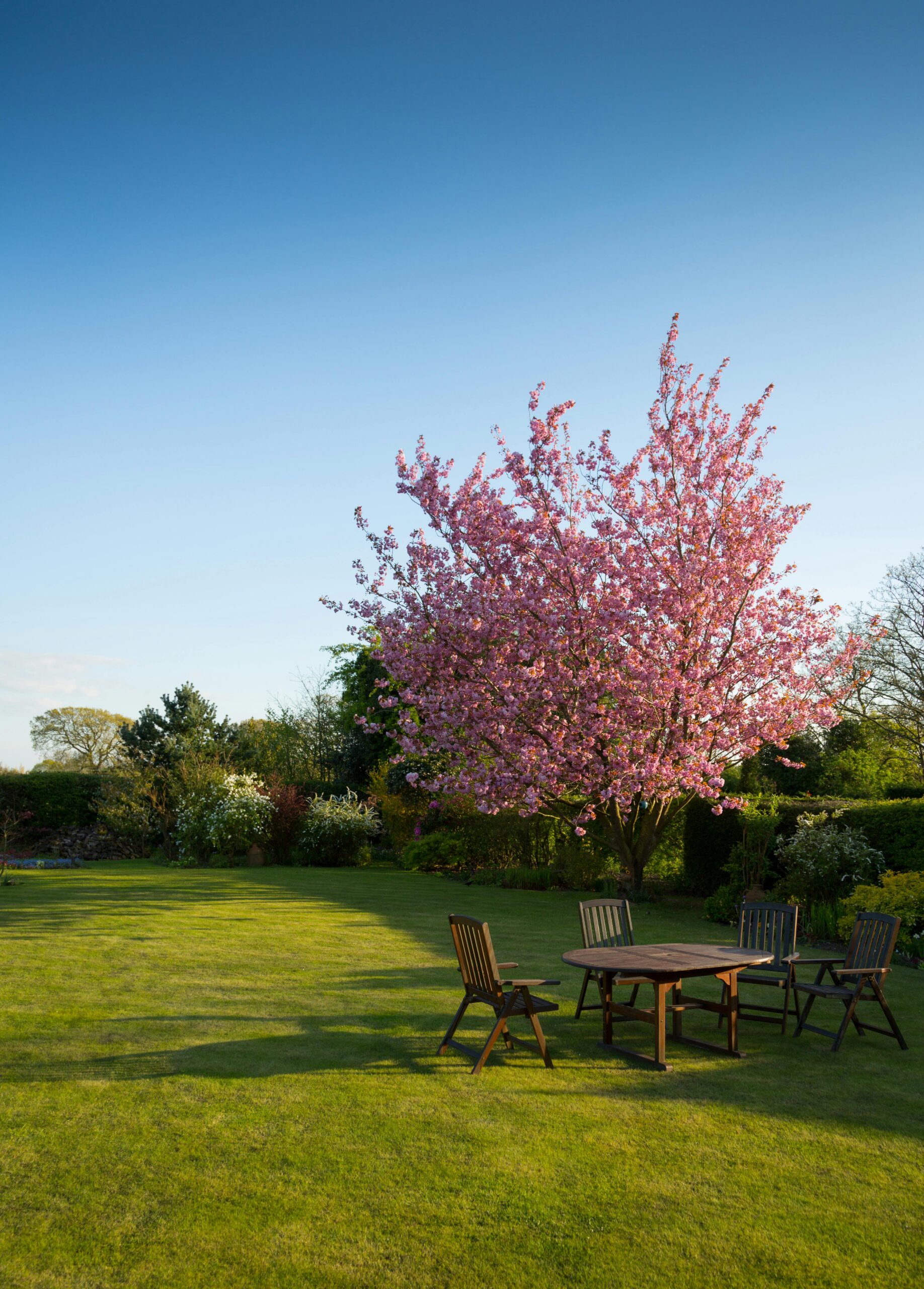 Far-reaching garden with table and chairs next to tree with pink flowerage